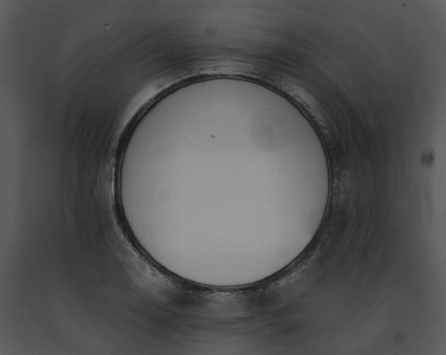 X0000091681130200708301514