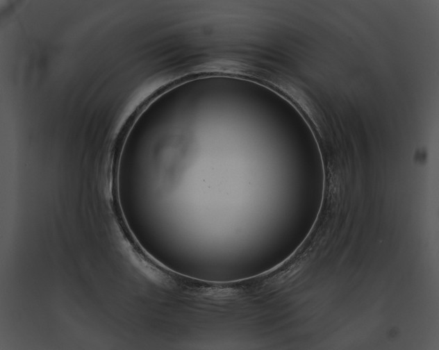 X0000091681131200708301514