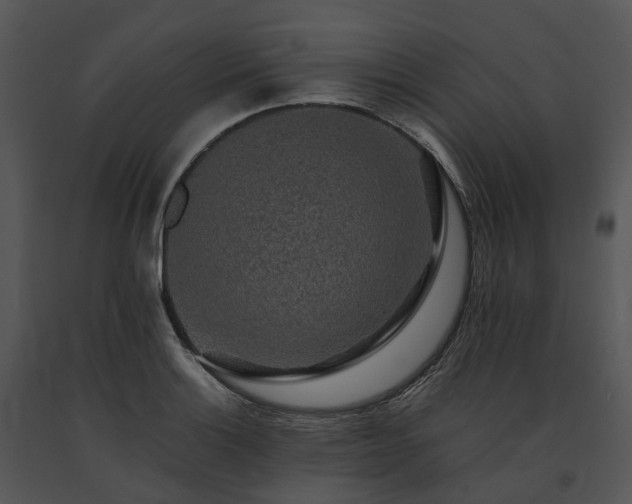 X0000091681132200708301514