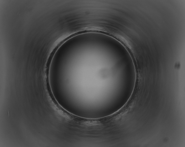 X0000091681133200708301514