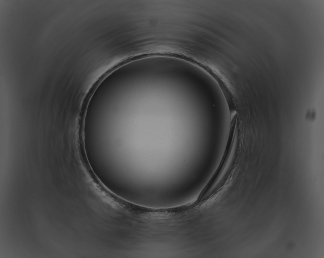 X0000091681134200708301514