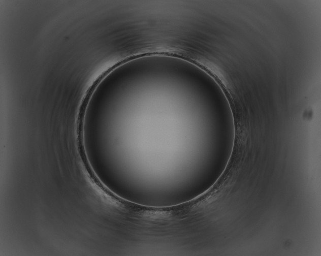 X0000091681135200708301514