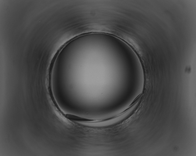 X0000091681136200708301515