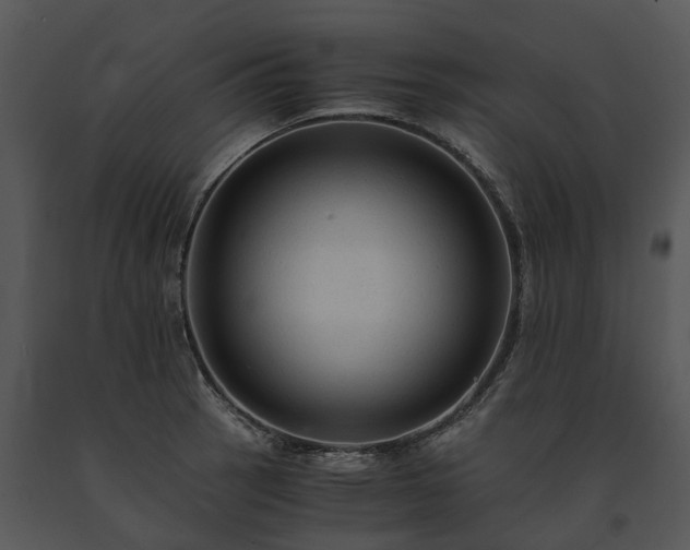 X0000091681137200708301515