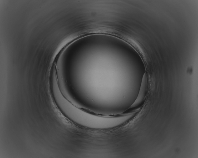 X0000091681138200708301515