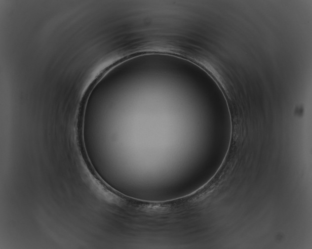 X0000091681139200708301515