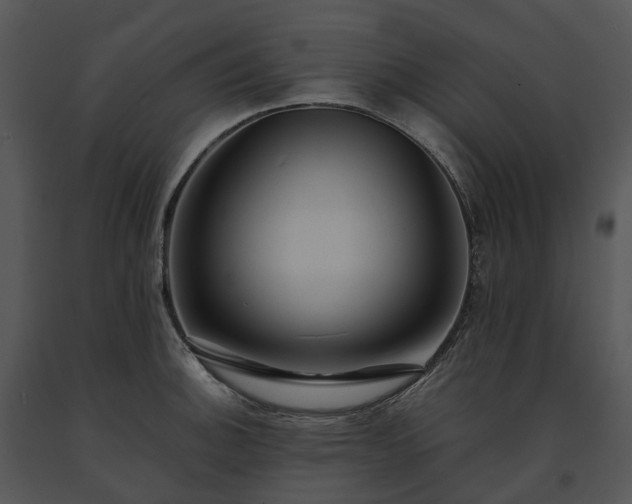 X0000091681140200708301515