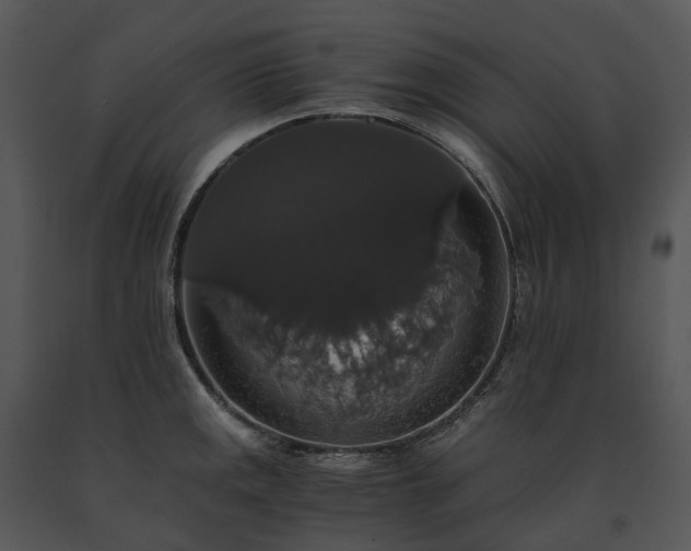 X0000091681141200708301515