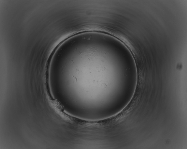 X0000091681142200708301515