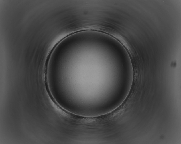 X0000091681143200708301515