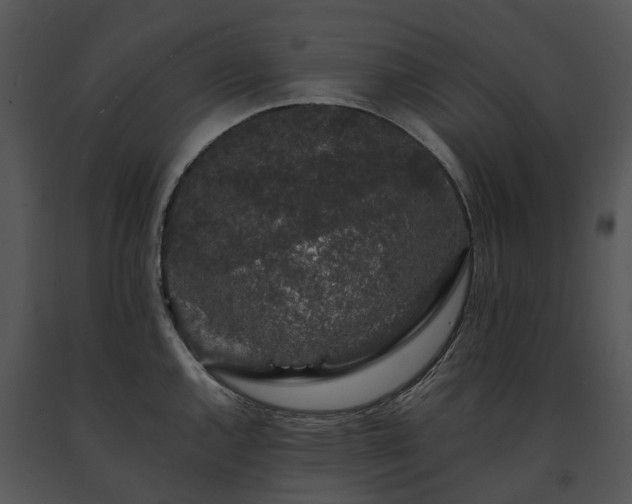 X0000091681144200708301515