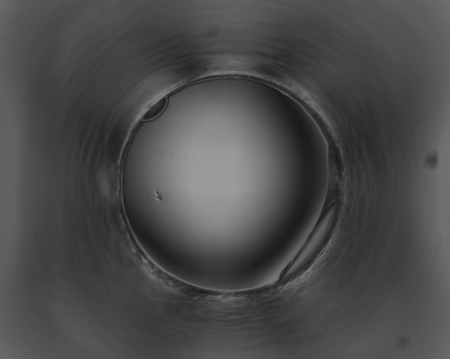 X0000091681145200708301515