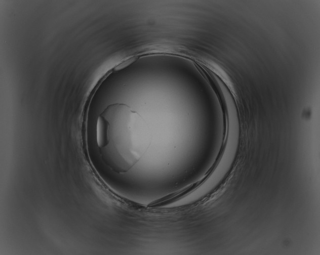X0000091681146200708301515