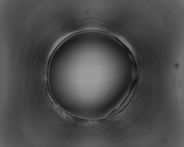 X0000091681148200708301515