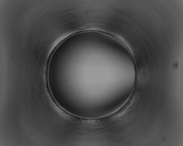 X0000091681149200708301515