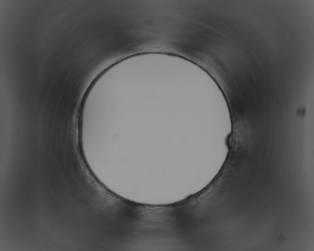 X0000091681150200708301515