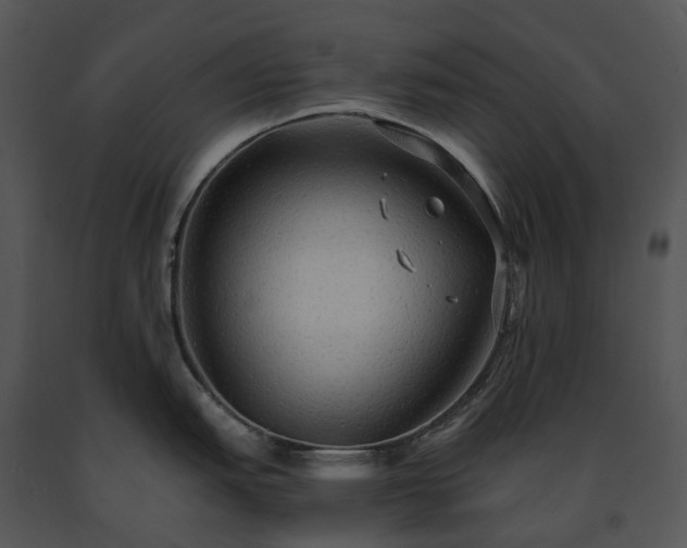 X0000091681151200708301515