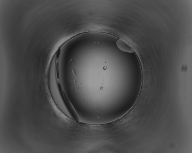 X0000091681152200708301515