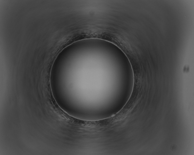 X0000091681153200708301514