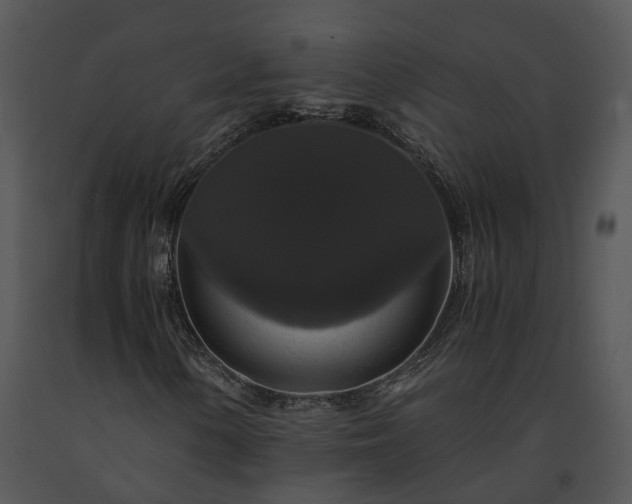 X0000091681154200708301514
