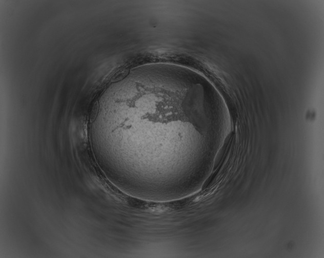 X0000091681155200708301514