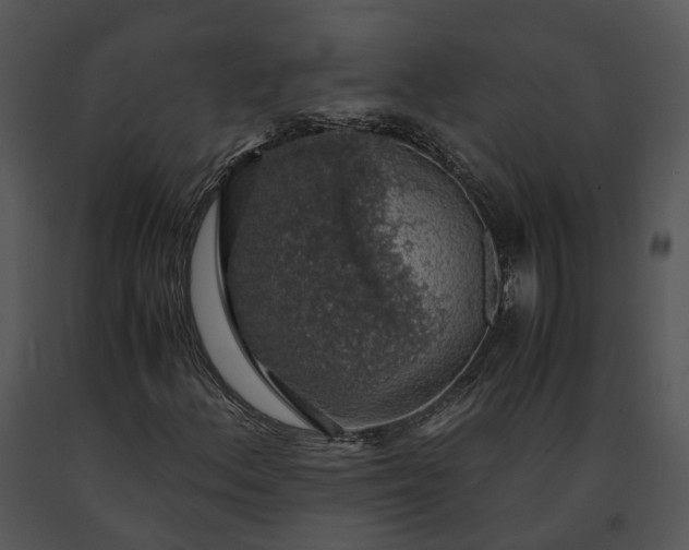 X0000091681156200708301514