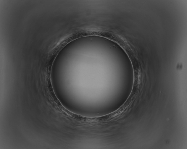 X0000091681157200708301514