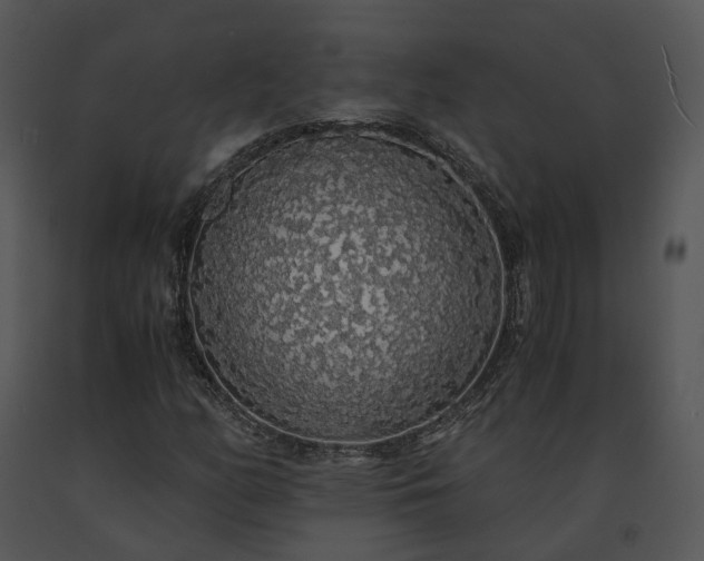 X0000091681158200708301514