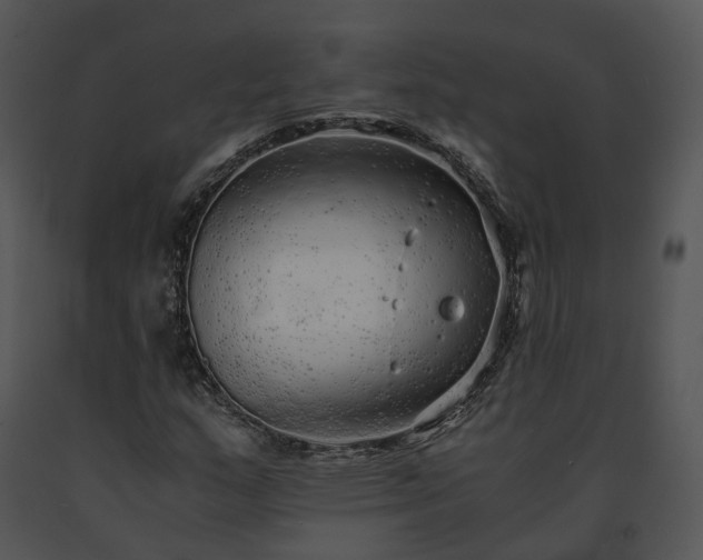 X0000091681159200708301514