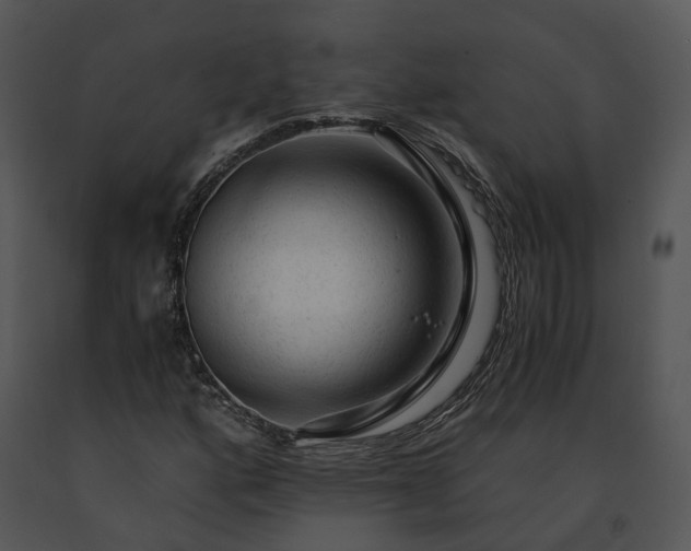 X0000091681160200708301514