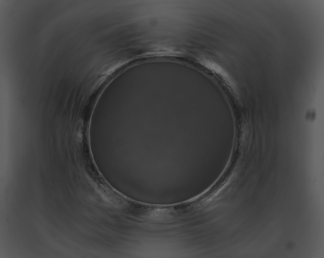 X0000091681161200708301514