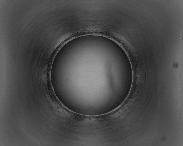 X0000091681162200708301514