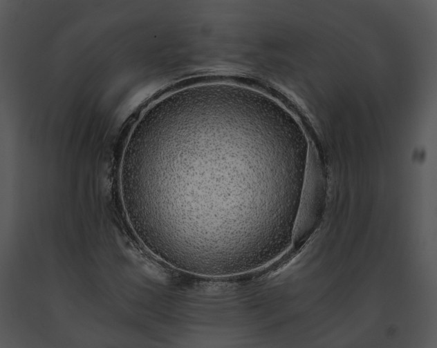X0000091681163200708301514