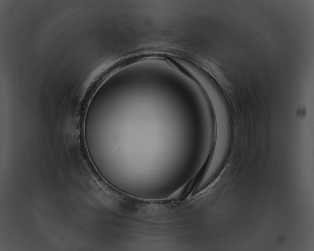 X0000091681164200708301514