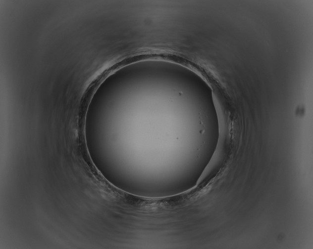 X0000091681165200708301514