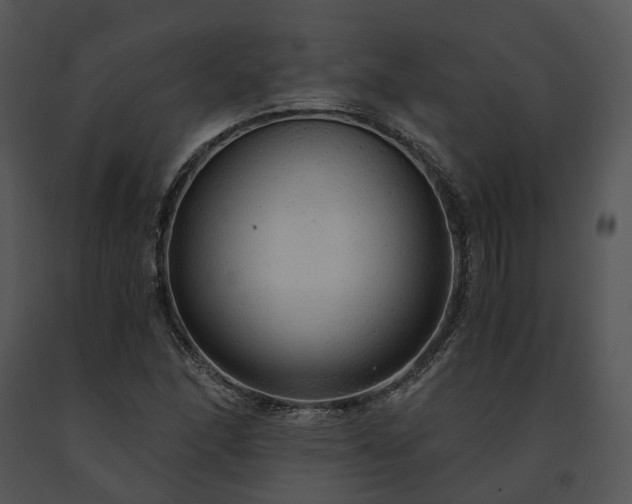 X0000091681166200708301514