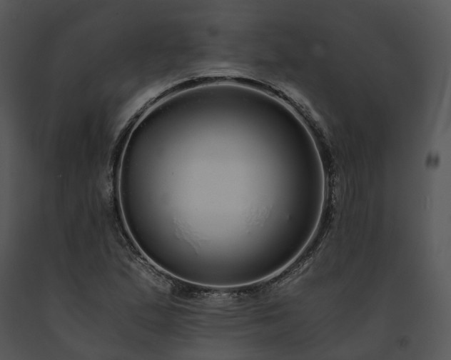X0000091681167200708301514