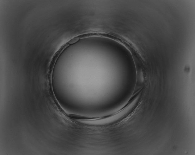 X0000091681168200708301514