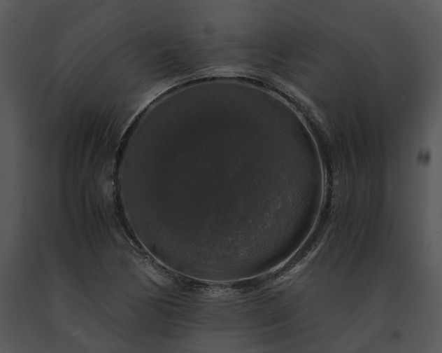 X0000091681170200708301514