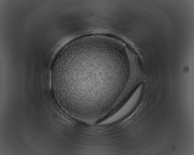 X0000091681171200708301514