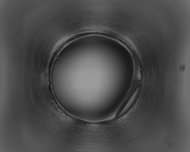 X0000091681172200708301514
