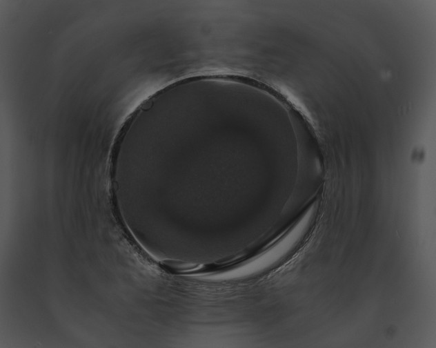 X0000091681173200708301514