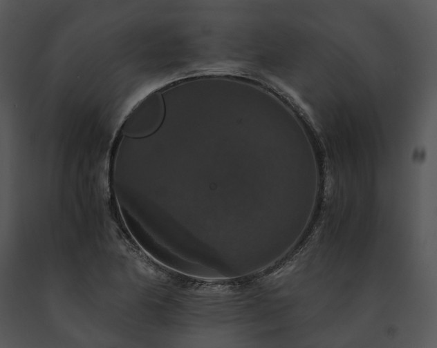 X0000091681174200708301514