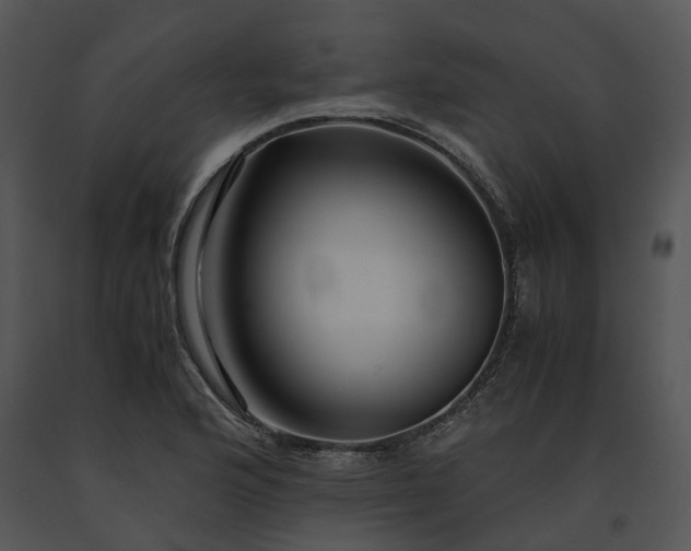 X0000091681176200708301514