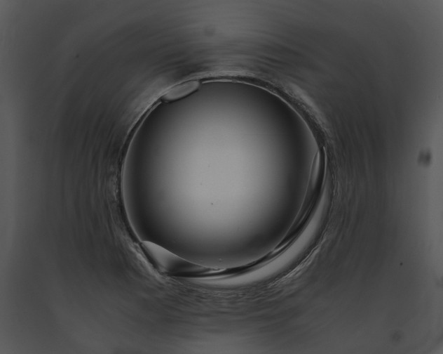 X0000091681177200708301514