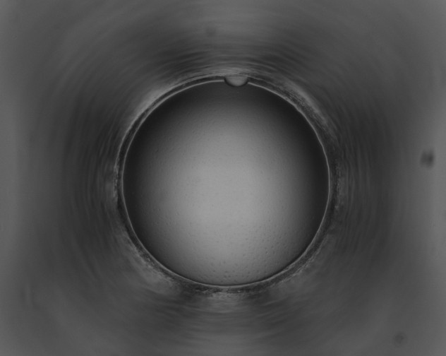 X0000091681178200708301514