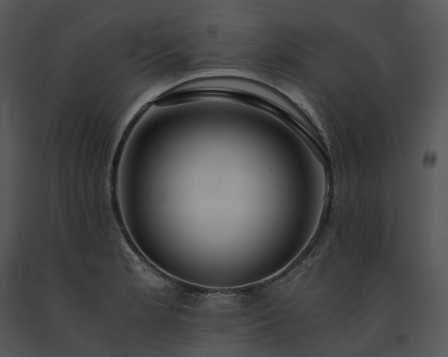 X0000091681181200708301514
