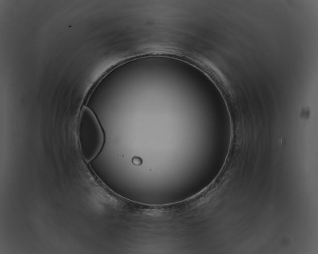 X0000091681182200708301514