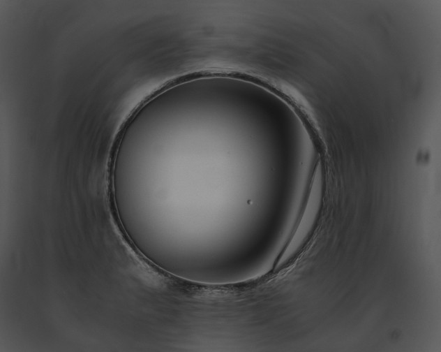 X0000091681183200708301514