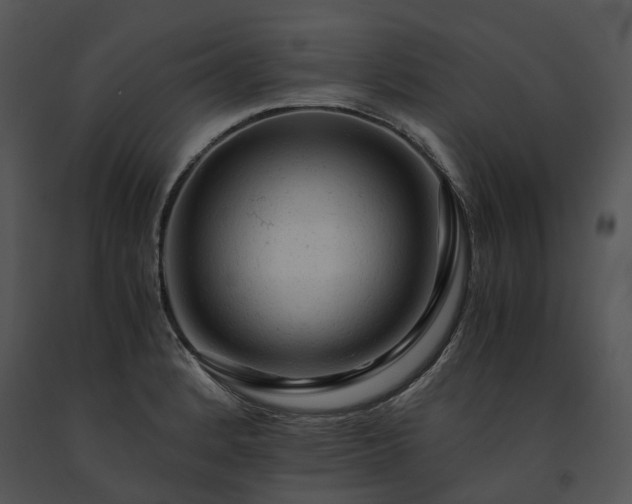 X0000091681184200708301514